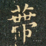 蒂
