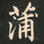 蒲