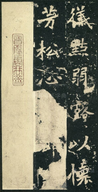 张猛龙碑 - 第页