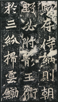 杨大眼造像 - 第页