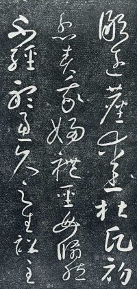 圣母帖 - 第页