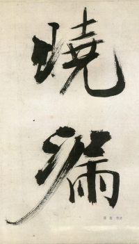 大字杜甫诗卷 - 第页