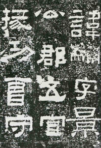 鲜于璜碑 - 第页