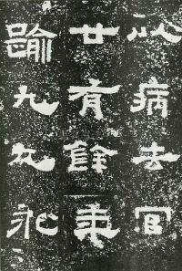 鲜于璜碑 - 第页