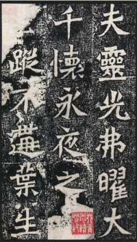 杨大眼造像 - 第页