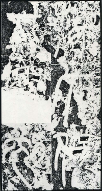 袁敞碑 - 第页