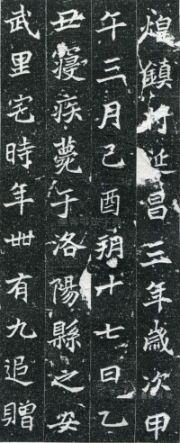 皮演墓志 - 第页