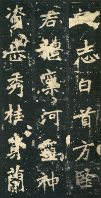 张猛龙碑 - 第页