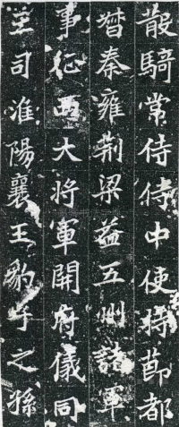 皮演墓志 - 第页