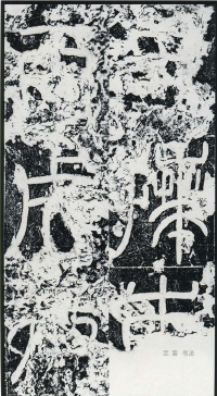 袁敞碑 - 第页