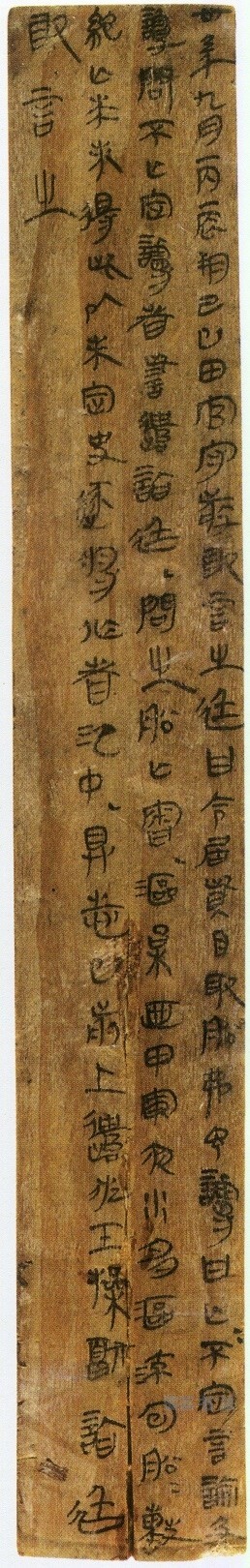 里耶秦简三 - 第页