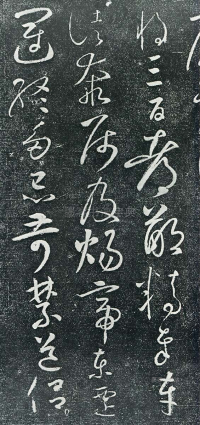 圣母帖 - 第页