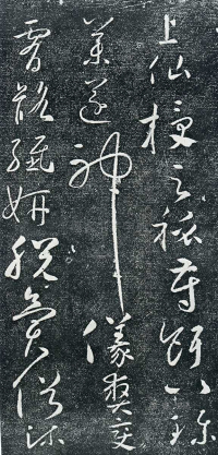 圣母帖 - 第页