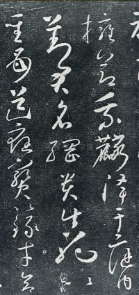 圣母帖 - 第页
