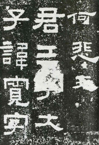 鲜于璜碑 - 第页