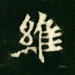 维