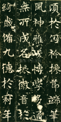 东魏敬史君碑 - 第页