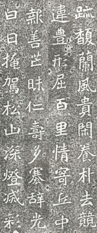 赵谧墓志 - 第页