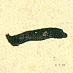 一