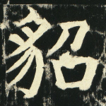 貂