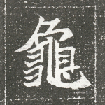 龟