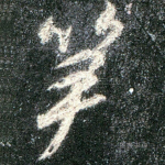笋