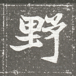 野