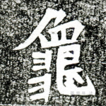 龟