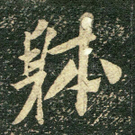 体