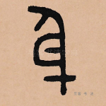 身