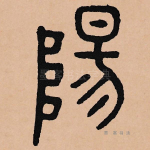 阳