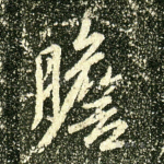 胆