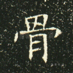 骨