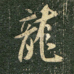 龙