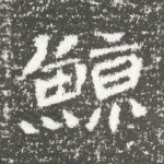 鲸