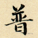 普
