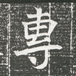 专