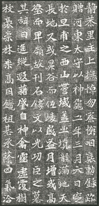 杨琏墓志 - 第页