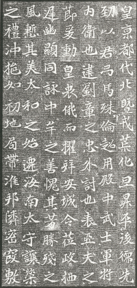 杨琏墓志 - 第页