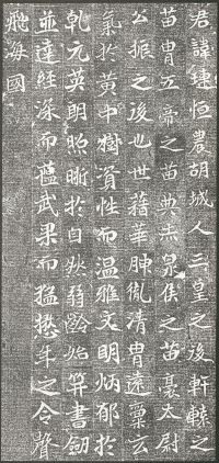 杨琏墓志 - 第页