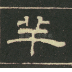 羊