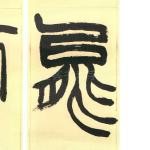 龟