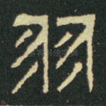 羽