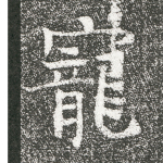 宠