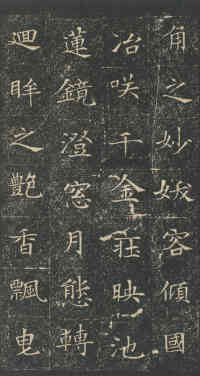 董美人墓志 - 第5页