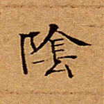 阴