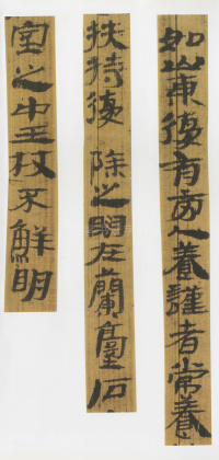 武威后汉简 - 第4页