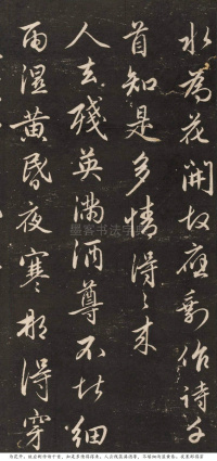 梅花诗 - 第3页