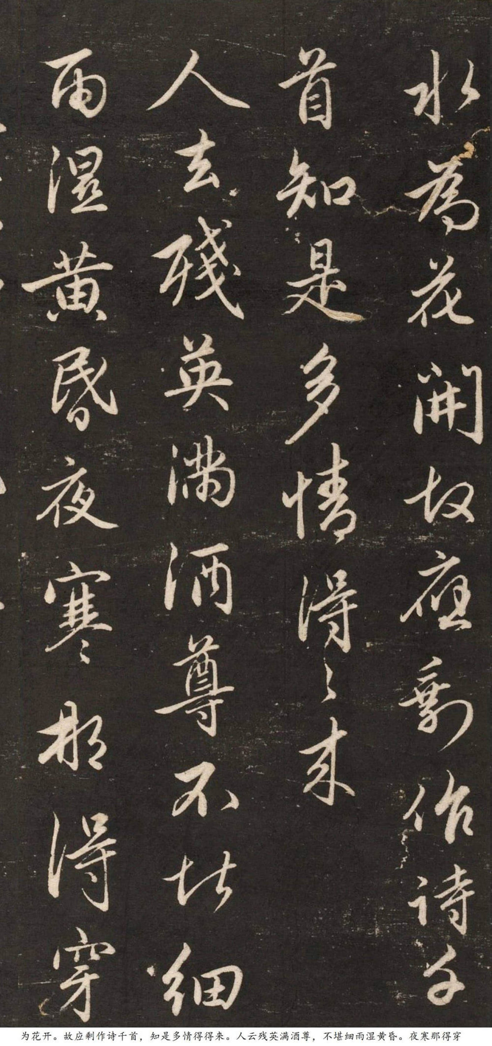 梅花诗 - 第3页