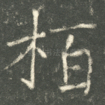 柏